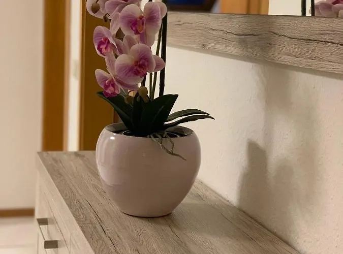 Appartamento Casa Catalina *